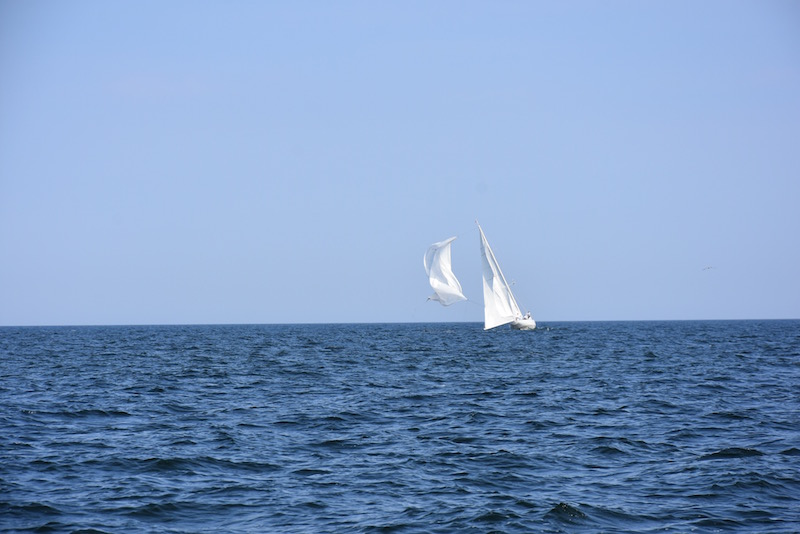 DSC_0688.jpg
