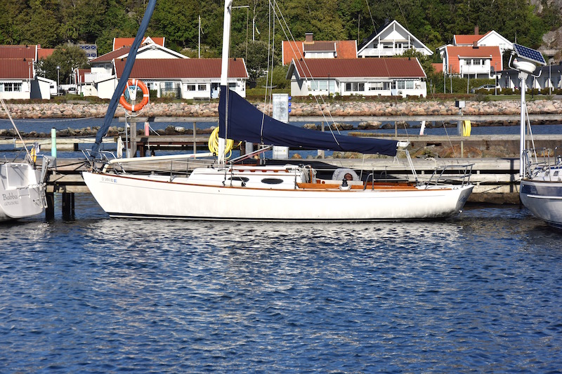 DSC_1403.jpg